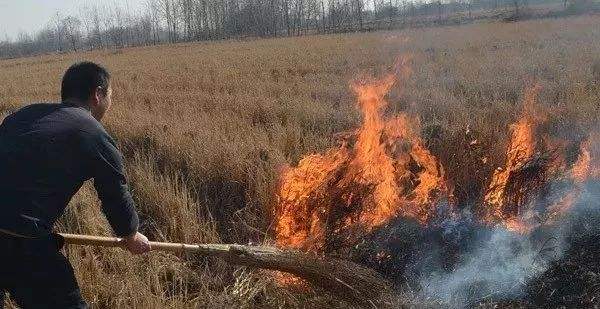 秸稈焚燒屢禁不止 秸稈焚燒屢禁不止