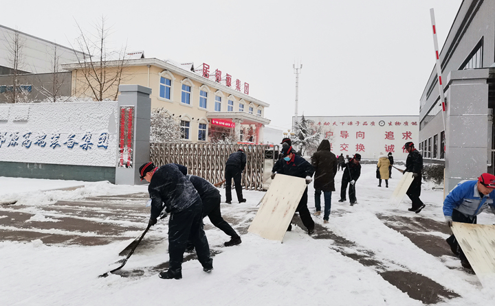 山東金格瑞的同事們第一時間積極自發的參與到掃雪行動中.jpg 山東金格瑞的同事們第一時間積極自發的參與到掃雪行動中.jpg