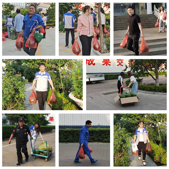 各部門派來領(lǐng)西瓜的代表,各個喜笑顏開.jpg 各部門派來領(lǐng)西瓜的代表,各個喜笑顏開.jpg