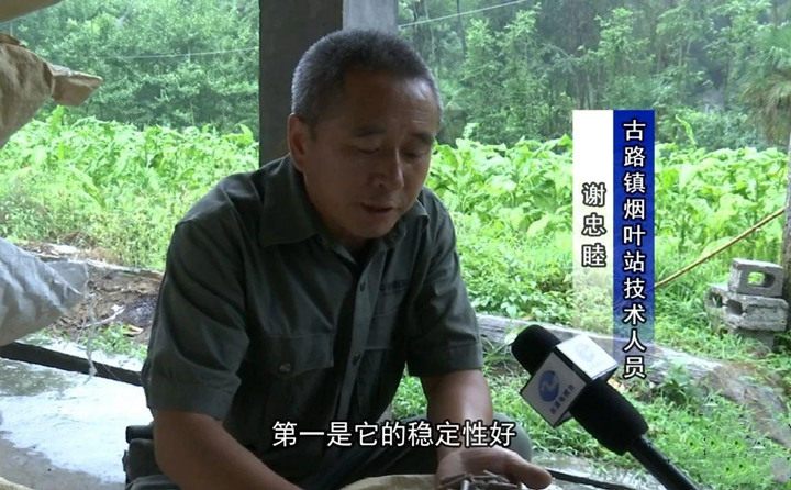 緊緊抓住木屑造粒機生物質顆粒燃料加工場地建設項目落地的契機，找準結合點，推動共和綜合服務型煙農專業合作社與生物質顆粒燃料加工廠的緊密合作.jpg