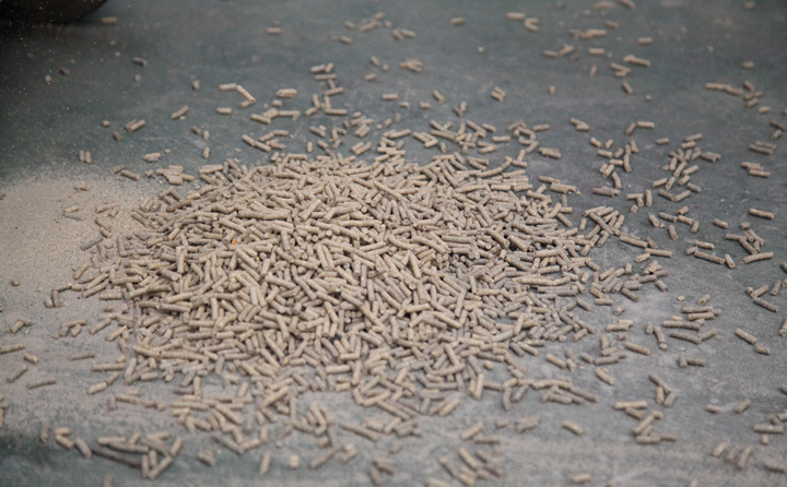 為什么經(jīng)過木屑造粒機加工的生物自燃料就可以燃燒呢？.jpg