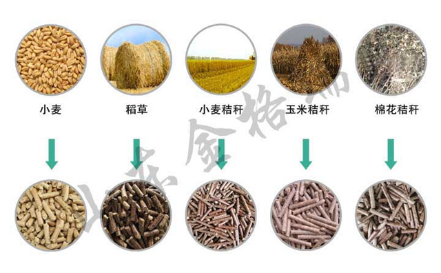 吃垃圾，吐綠煤的新型能源再利用設備.jpg